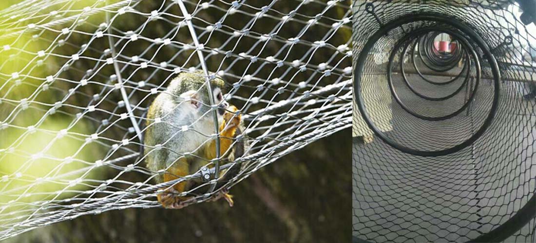 Natural Exploration -Eco-friendly Stainless Steel Cable Rope Mesh for Zoo1