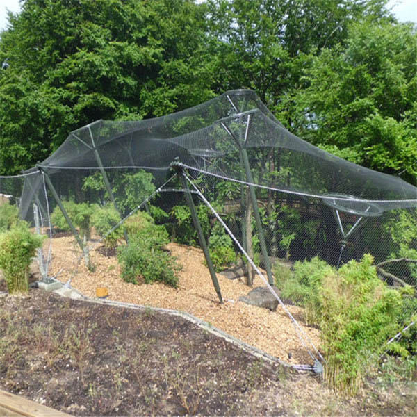 Bird Aviary Mes