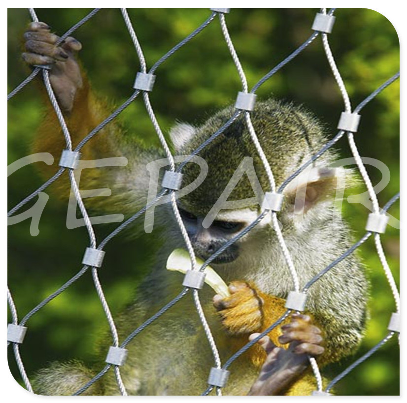 stainless steel rope mesh zoo mesh aviary mesh (2)